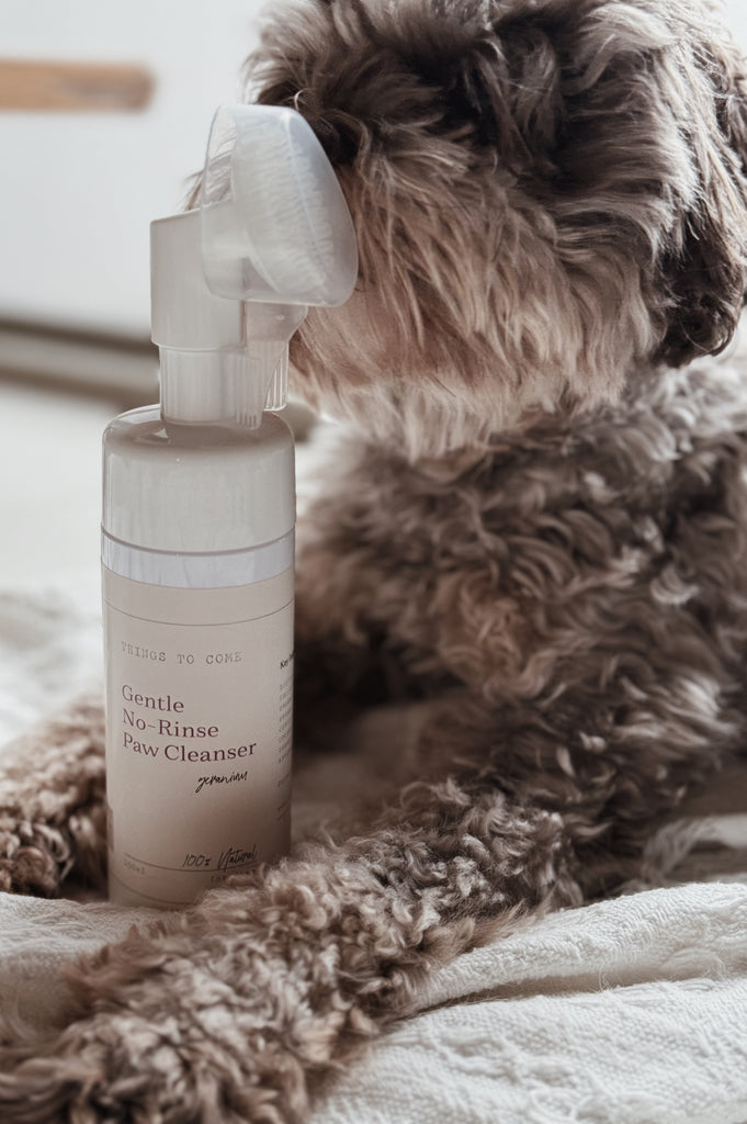 * Limited Ed- Gentle No-Rinse Paw Cleanser (Geranium)